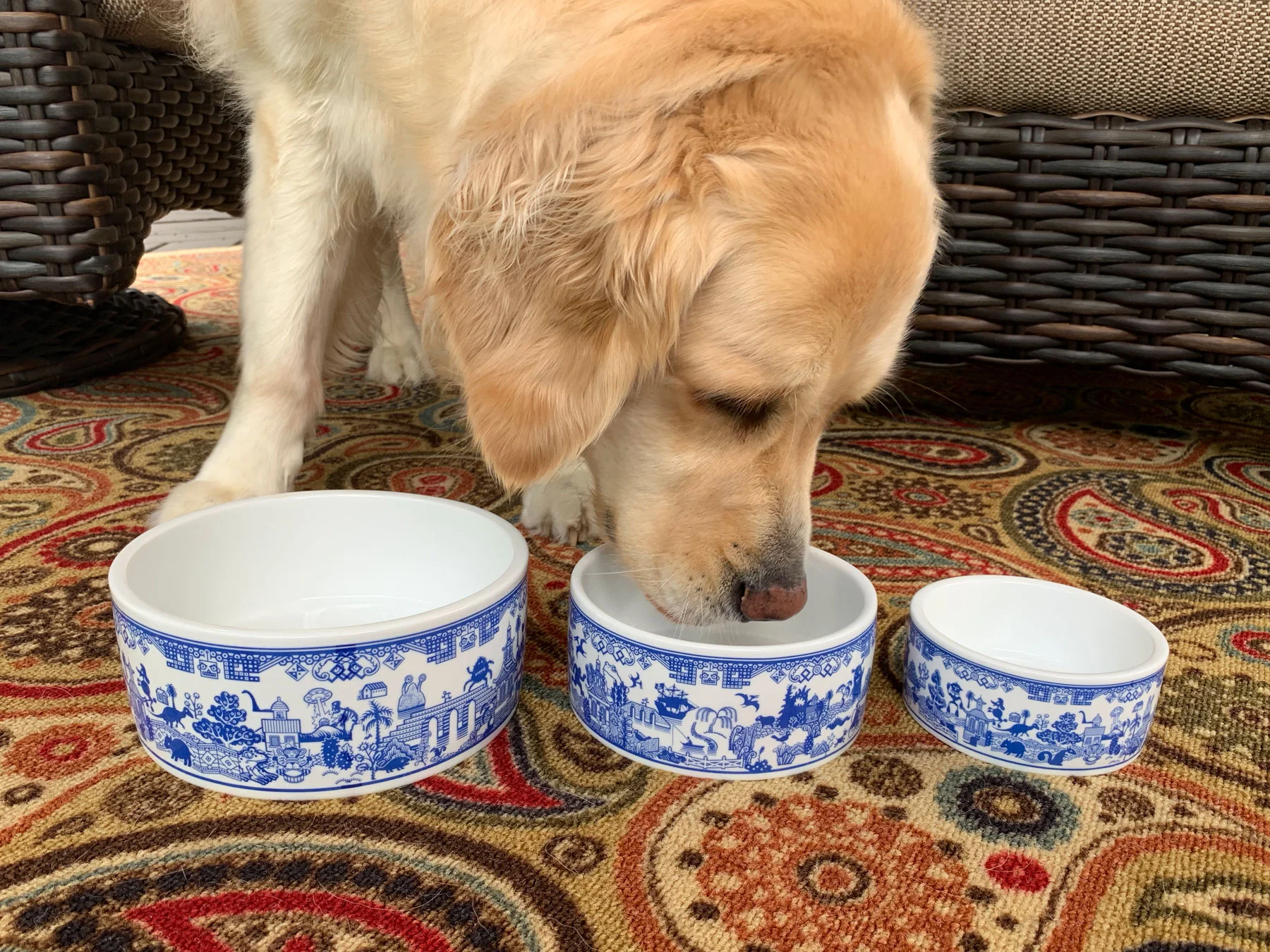 Things Could Be Worse Beast Bowls - Image 9