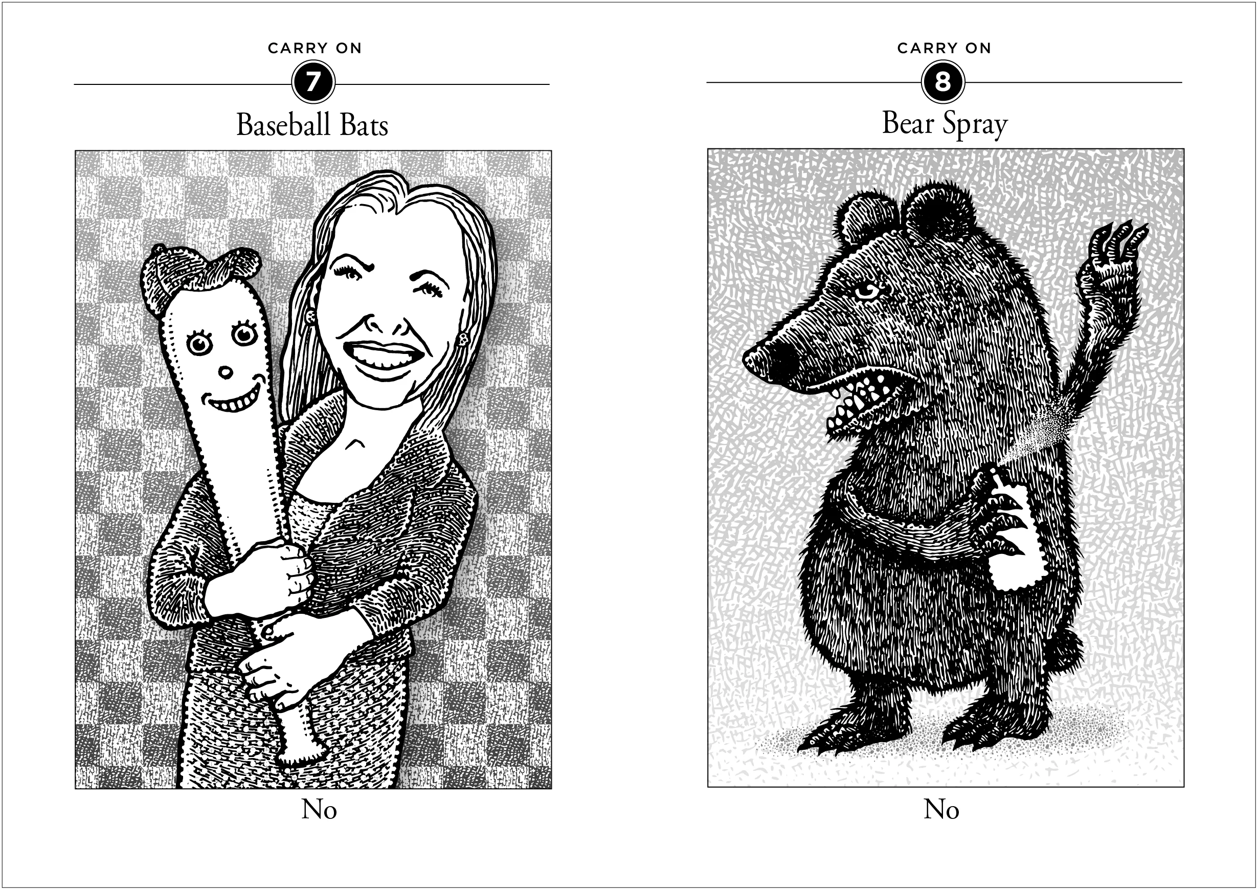 Carry On Book - Image 4